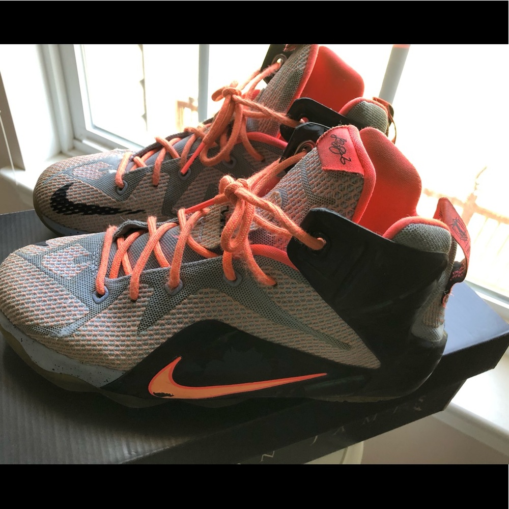 Men’s Lebron James XII (GS) Basketball shoes